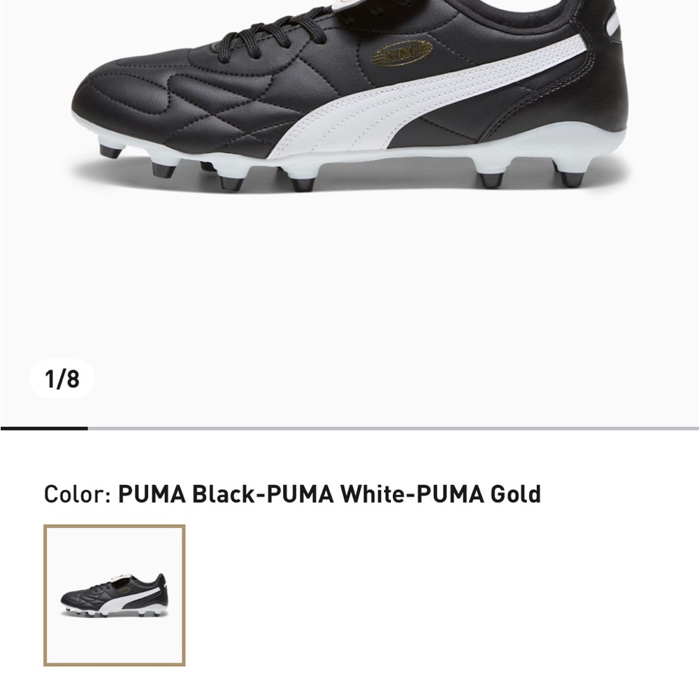 Puma Kings